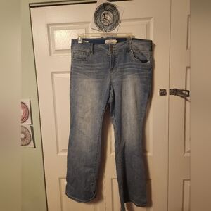Torrid Flare Jeans